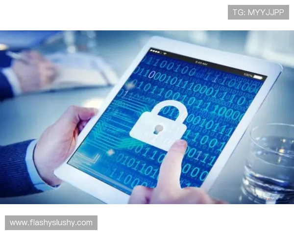 K8视讯官网的游戏安全保障措施与用户隐私保护策略分析